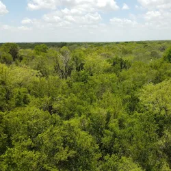 Santa Anna Riverwalk Park - Santa Anna