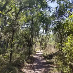 Santa Anna Riverwalk Park - Santa Anna