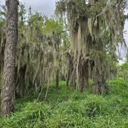 Santa Anna Riverwalk Park - Santa Anna