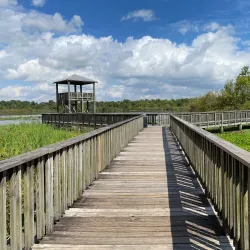 Cullinan Park - Sugar Land