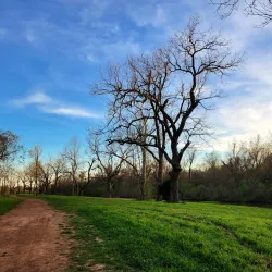 Cullinan Park - Sugar Land