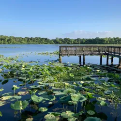 Cullinan Park - Sugar Land