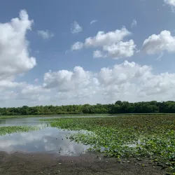 Cullinan Park - Sugar Land