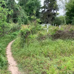 Cullinan Park - Sugar Land