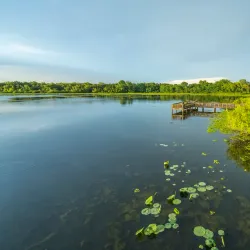Cullinan Park - Sugar Land