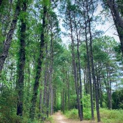 Cullinan Park - Sugar Land