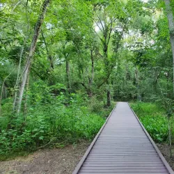 Cullinan Park - Sugar Land