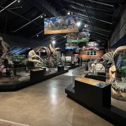 Houston Museum of Natural Science at Sugar Land - Sugar Land