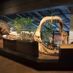 Houston Museum of Natural Science at Sugar Land - Sugar Land