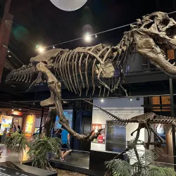 Houston Museum of Natural Science at Sugar Land - Sugar Land