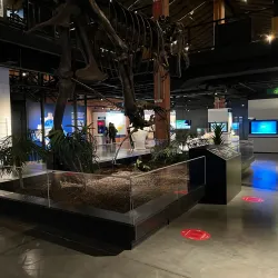 Houston Museum of Natural Science at Sugar Land - Sugar Land