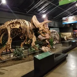 Houston Museum of Natural Science at Sugar Land - Sugar Land