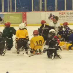 Sugar Land Ice & Sports Center - Sugar Land