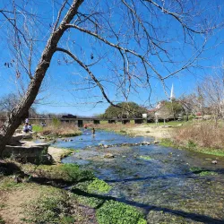 Barrow Brewing Company - Temple
