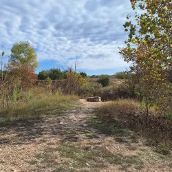 Miller Springs Nature Center - Temple