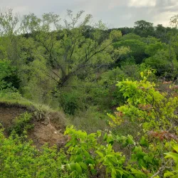 Miller Springs Nature Center - Temple
