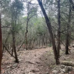 Miller Springs Nature Center - Temple