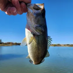 Temple Lake Golf Course - Temple