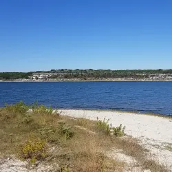 Temple Lake Park - Temple