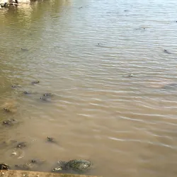 Bay Street Park - Texas City