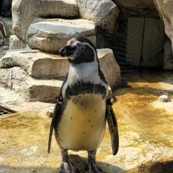 Moody Gardens (nearby in Galveston) - Texas City