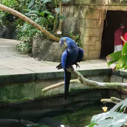 Moody Gardens (nearby in Galveston) - Texas City