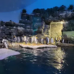 Moody Gardens (nearby in Galveston) - Texas City