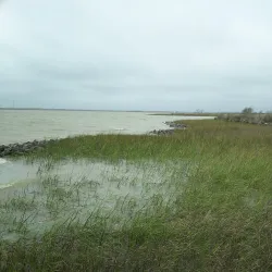 Texas City Prairie Preserve - Texas City