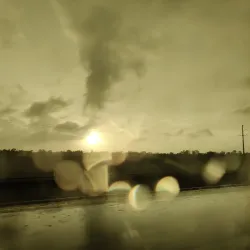 Texas City Prairie Preserve - Texas City