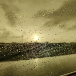 Texas City Prairie Preserve - Texas City