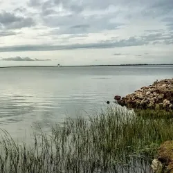 Texas City Prairie Preserve - Texas City