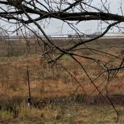 Texas City Prairie Preserve - Texas City