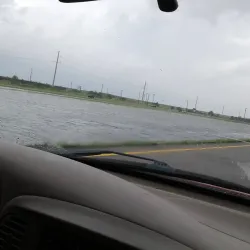 Texas City Prairie Preserve - Texas City