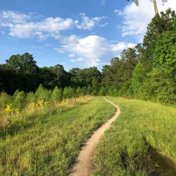 George Mitchell Nature Preserve - The Woodlands