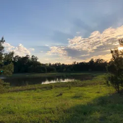 George Mitchell Nature Preserve - The Woodlands
