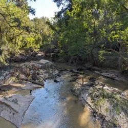 George Mitchell Nature Preserve - The Woodlands