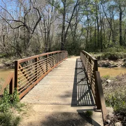George Mitchell Nature Preserve - The Woodlands