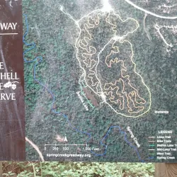 George Mitchell Nature Preserve - The Woodlands