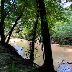 George Mitchell Nature Preserve - The Woodlands