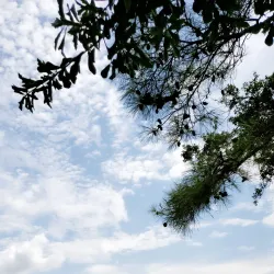 Northshore Park - The Woodlands