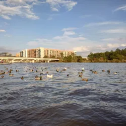 Northshore Park - The Woodlands