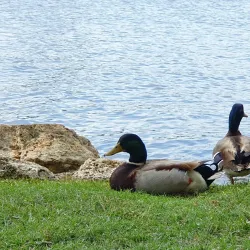 Northshore Park - The Woodlands