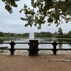 Rob Fleming Park - The Woodlands