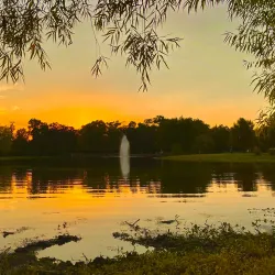 Rob Fleming Park - The Woodlands