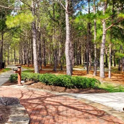 Rob Fleming Park - The Woodlands