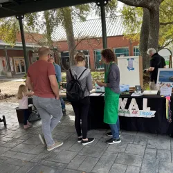 The Woodlands Art League - The Woodlands