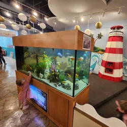 The Woodlands Children's Museum - The Woodlands