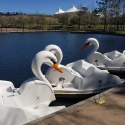 The Woodlands Waterway - The Woodlands