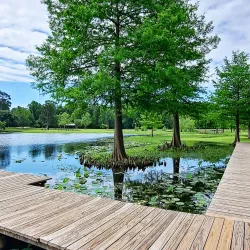 Clemens Park - Tomball