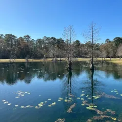 Clemens Park - Tomball